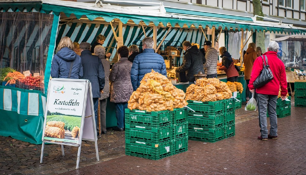 The Art and Science of Nutritious Gourmet